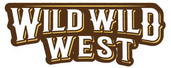 Wild Wild West Kids Play Park indoor play area
